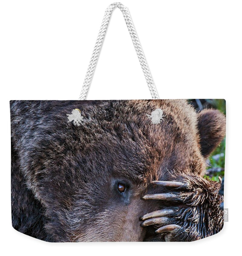 Bear Weekender Tote Bag featuring the photograph Lazy Bear by Wesley Aston