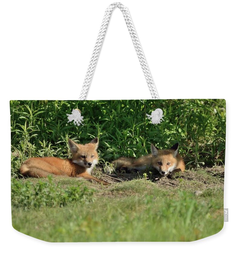 Nature Weekender Tote Bag featuring the photograph Lazy Sunday at The Den-Fox Kits by David Porteus