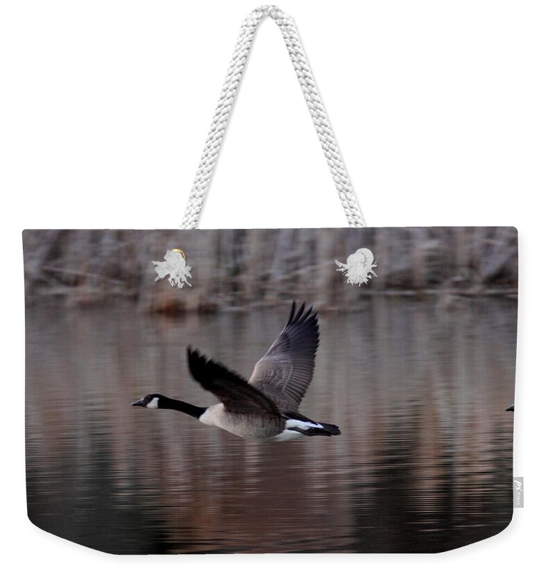 Photographs Weekender Tote Bag featuring the photograph Leading the Way by Travis Truelove