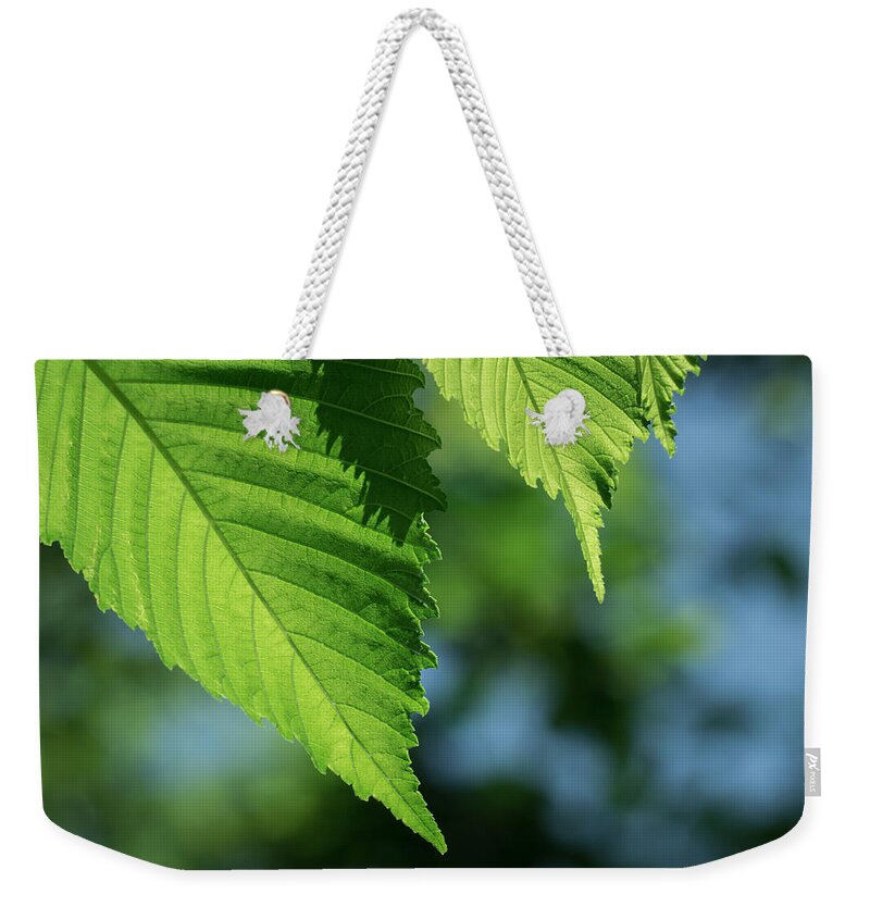 Leaves Weekender Tote Bag featuring the photograph Leaf Variation 1 of 3 by James Barber