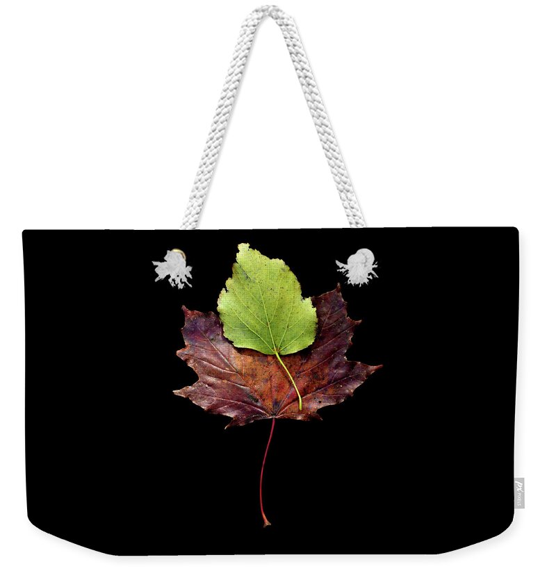 Leaf Weekender Tote Bag featuring the photograph Leaf 15 by David J Bookbinder