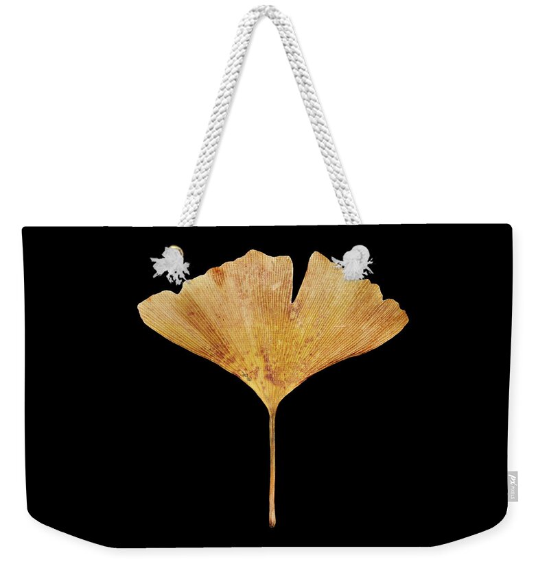 Leaves Weekender Tote Bag featuring the photograph Leaf 18 by David J Bookbinder