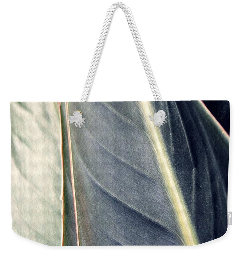 Leaf Weekender Tote Bag featuring the photograph Leaf Abstract 14 by Sarah Loft