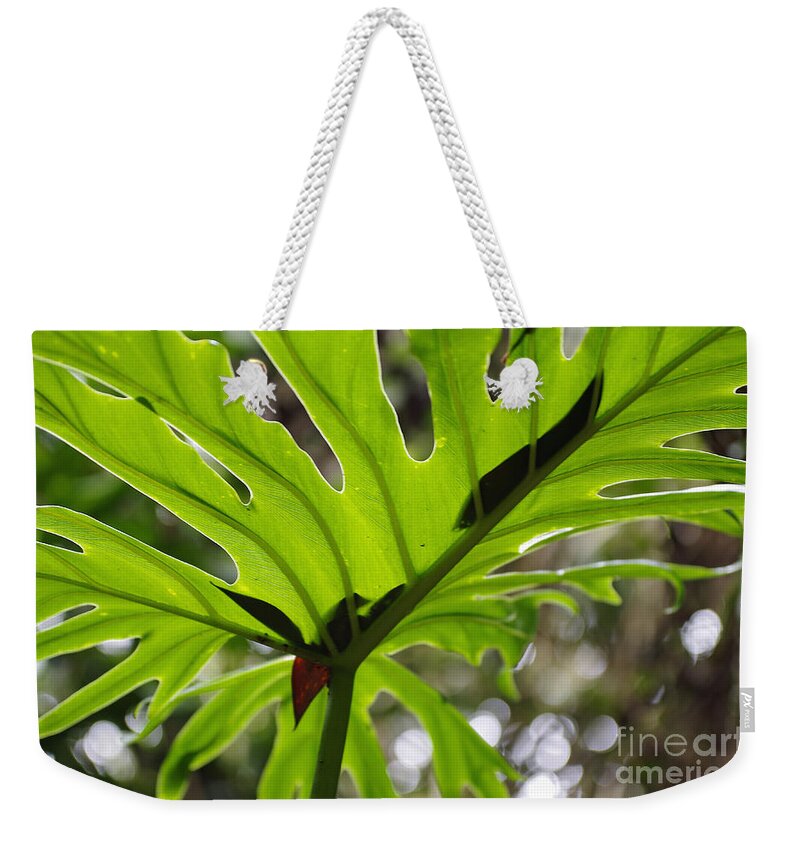 Patterns Weekender Tote Bag featuring the photograph Leaf Catchment by Kerryn Madsen-Pietsch