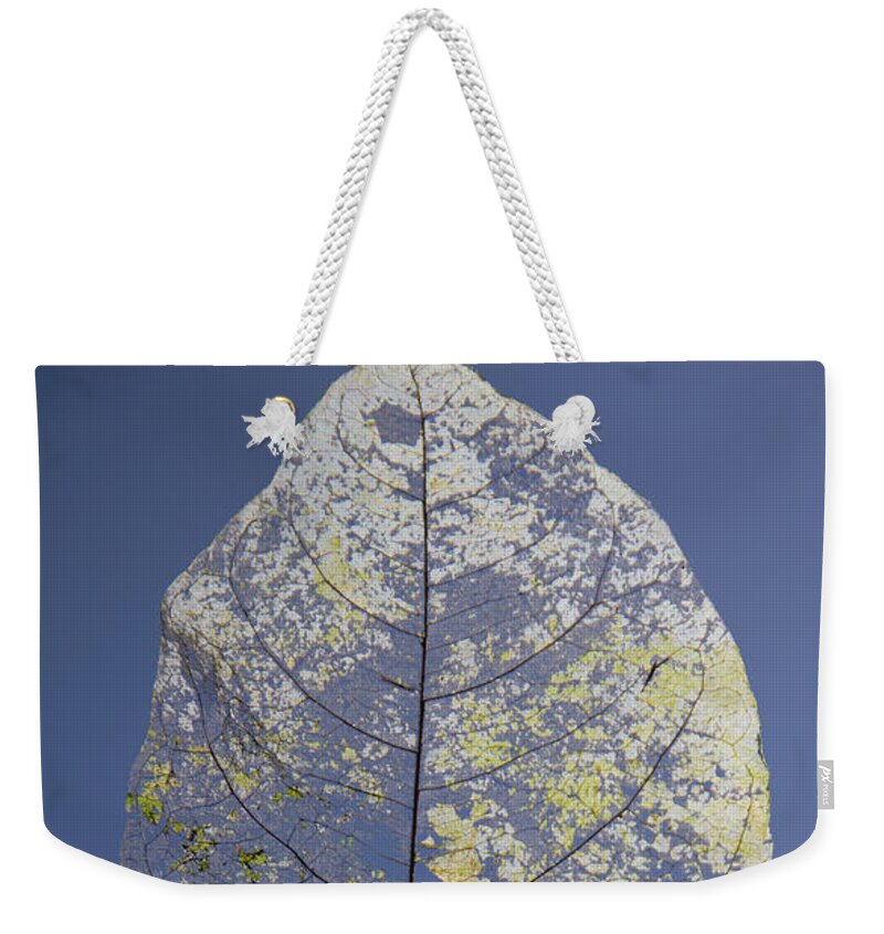 Leaf Weekender Tote Bag featuring the photograph Leaf by Debbie Cundy