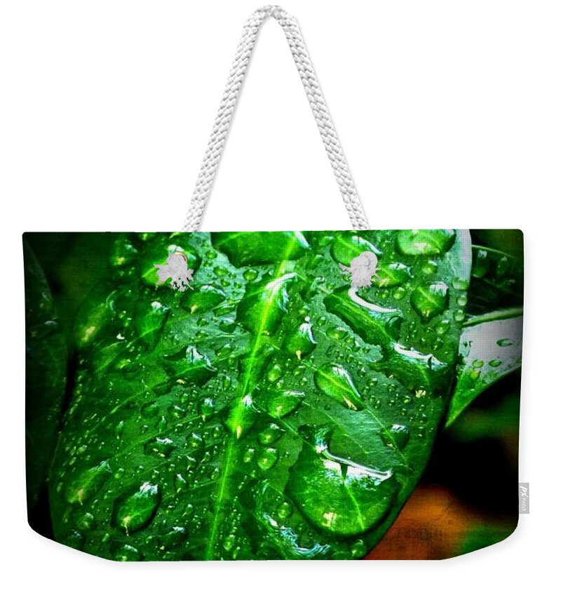 Leaf Weekender Tote Bag featuring the photograph Leaf by Leslie Revels