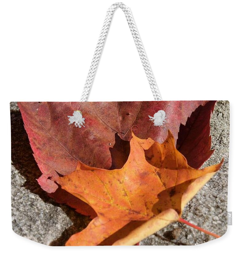 Leaves Weekender Tote Bag featuring the photograph Leaves by Caroline Stella