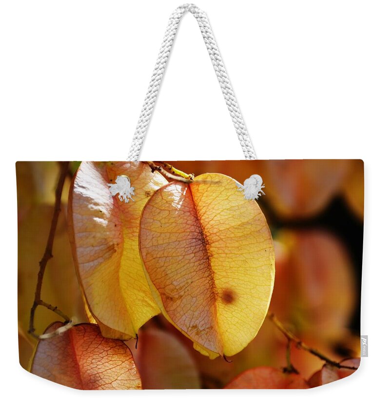 Leaves Weekender Tote Bag featuring the photograph Leaves hang for Fall-Gerorgia by Adrian De Leon Art and Photography