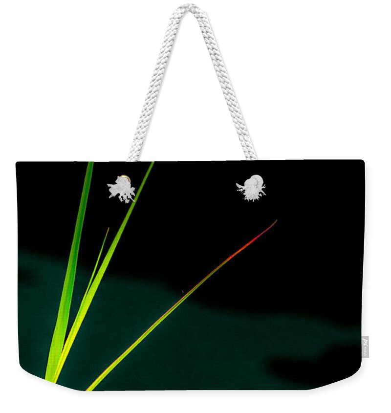 Grass Weekender Tote Bag featuring the photograph Leaves of Grass by James Aiken
