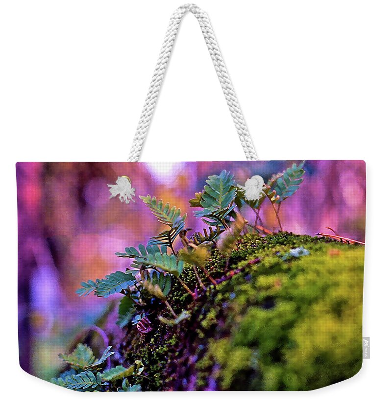 Leaves On A Log Weekender Tote Bag featuring the photograph Leaves On A Log by Bellesouth Studio