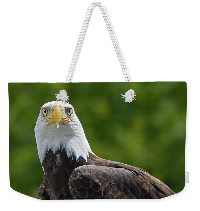 Bald Eagle Weekender Tote Bag featuring the photograph Left Turn by Tony Beck