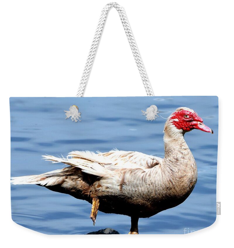 Goose Weekender Tote Bag featuring the photograph Leg Up by Dani McEvoy