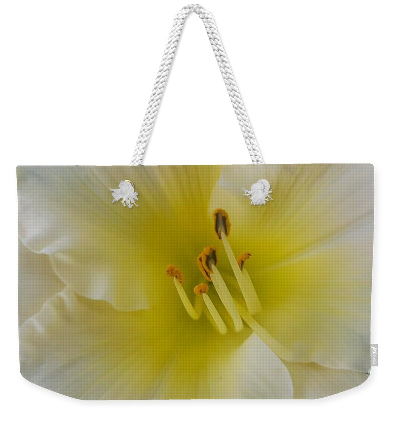 Daylily Weekender Tote Bag featuring the photograph Lemon Daylily by Rachel Hannah