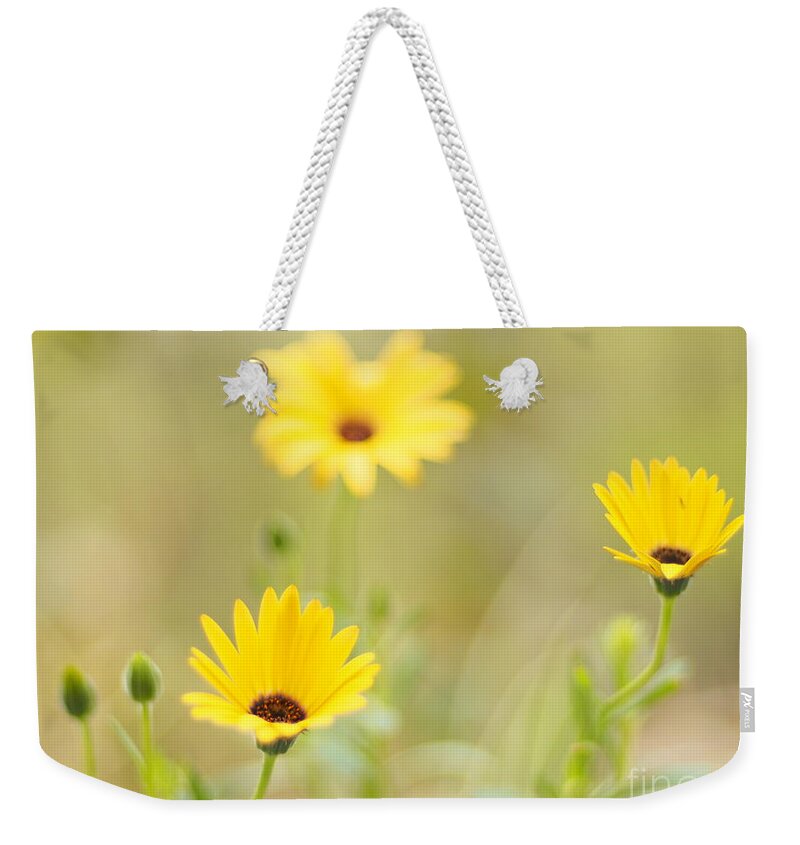 Flowers Weekender Tote Bag featuring the photograph Lemon Symphony Dreams 2 by Dorothy Lee
