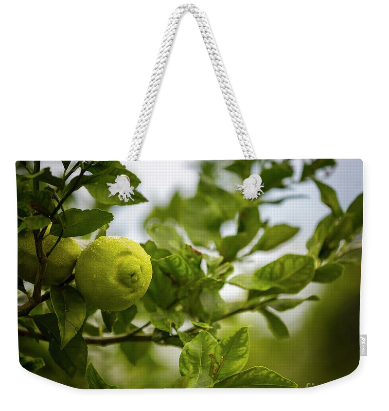 Australia Weekender Tote Bag featuring the photograph Lemon tree by Agnes Caruso