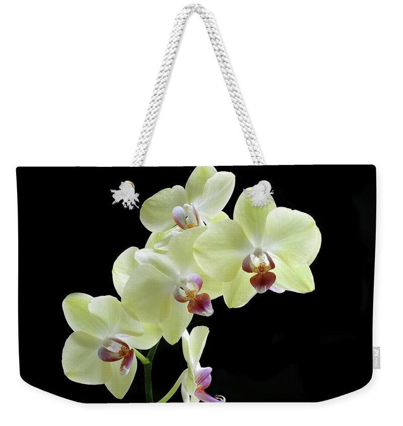 Orchid Weekender Tote Bag featuring the photograph Lemon Yellow Orchid's by Terence Davis