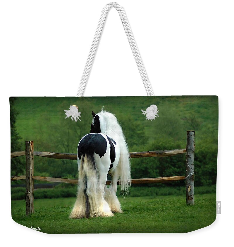 Gypsy Stallion Weekender Tote Bag featuring the photograph Lenny by Fran J Scott