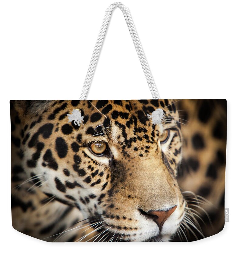 Africa Weekender Tote Bag featuring the photograph Leopard Face by John Wadleigh