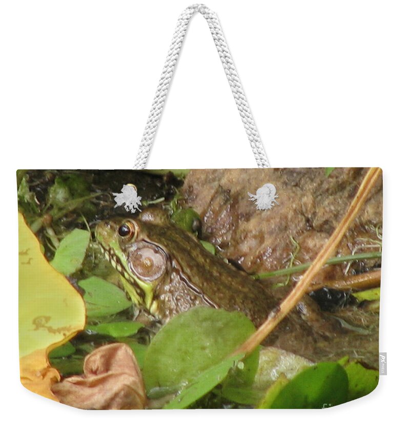 Frog Weekender Tote Bag featuring the photograph Leopard Frog by Donna Brown