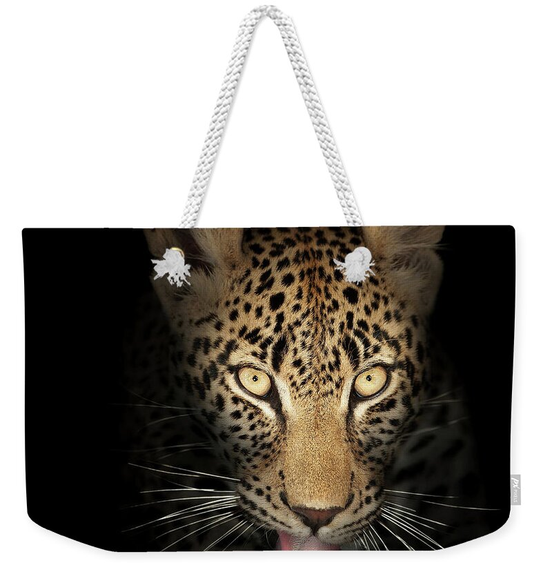 Leopardeyesdarkblackbackgroundwildlifeanimalmammalwildcatpantherapardusspottedfierceintensestarelookpowerfulpredatorcloseupclose-upclosepiercinglicktonguefrontviewafricaphotographonenobodyportraitsafaripawyellownaturedetail015092rs2 Weekender Tote Bag featuring the photograph Leopard In The Dark by Johan Swanepoel