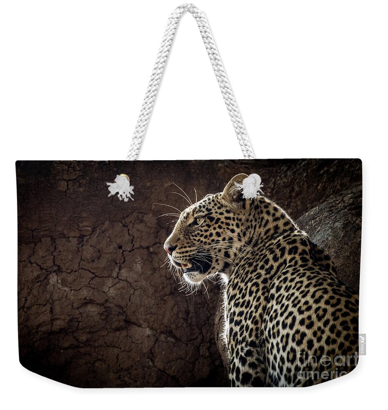 Botswana Weekender Tote Bag featuring the photograph Leopard by Patti Schulze