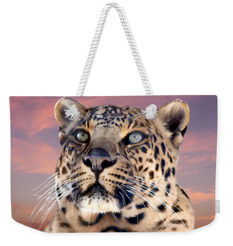 Leopard Weekender Tote Bag featuring the photograph Leopard Portrait Number 3 by Michele A Loftus