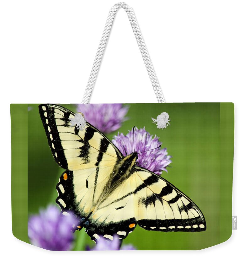 Butterfly Weekender Tote Bag featuring the photograph Beautiful Swallowtail Butterfly On Flowers by Christina Rollo