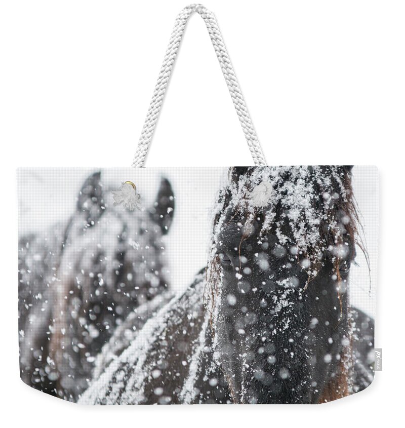 Snow Weekender Tote Bag featuring the photograph Let it Snow by Lori Ann Thwing
