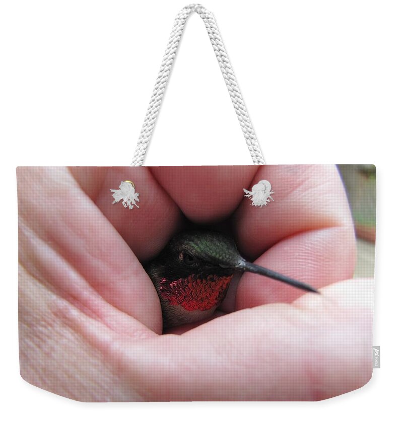 Humming-bird Weekender Tote Bag featuring the photograph Comforting Hand by Maciek Froncisz