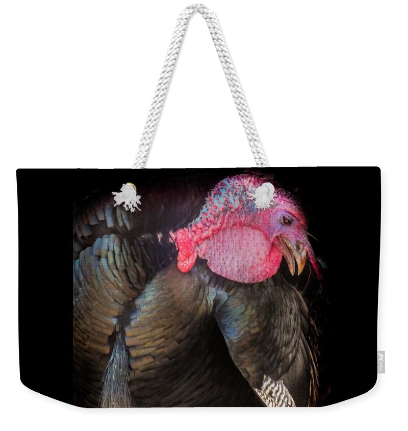 Thanksgiving Turkeys Weekender Tote Bag featuring the photograph Let Us Give Thanks by Karen Wiles