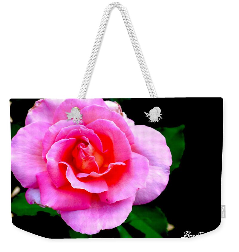 Pink Rose Weekender Tote Bag featuring the photograph Leveled Happiness by Bradley Dever
