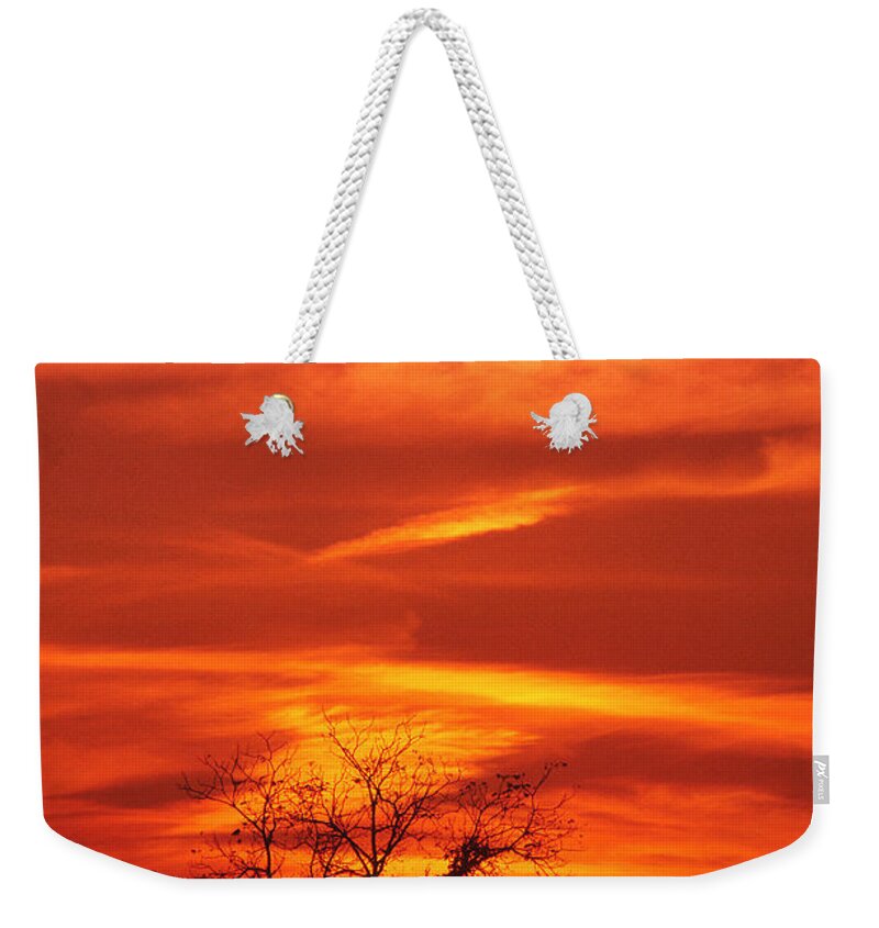 Brush Weekender Tote Bag featuring the photograph Lexington Sunset by Bijan Pirnia