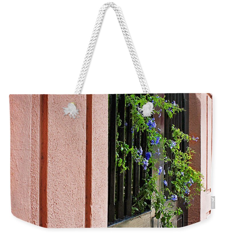 Door Weekender Tote Bag featuring the photograph Life Beyond The Door by Sharon McConnell