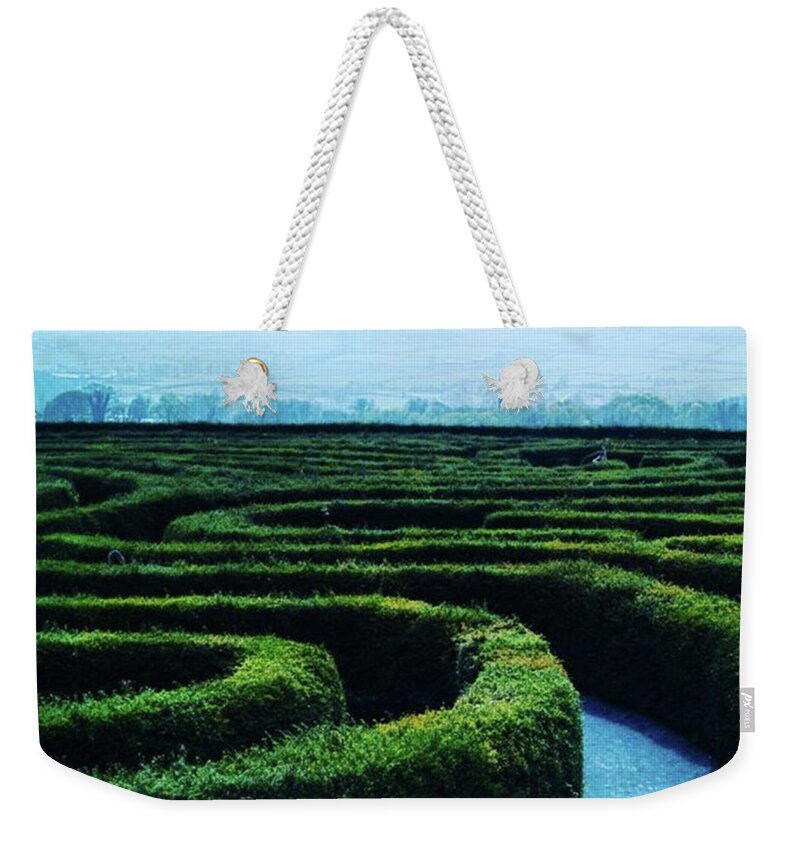 Leicagram Weekender Tote Bag featuring the photograph Life In The Maze by Aleck Cartwright