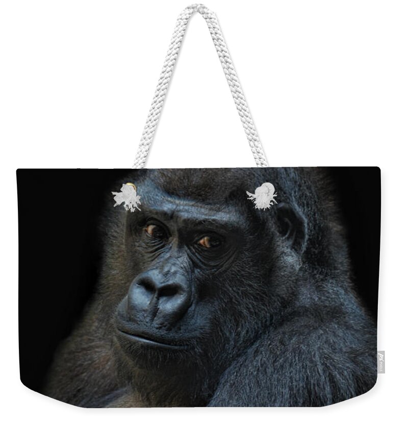 Animal Weekender Tote Bag featuring the photograph Life Is Not Allways Funny by Joachim G Pinkawa