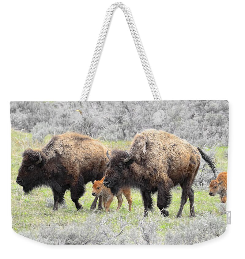 Buffalo Weekender Tote Bag featuring the photograph Life out West by Steve McKinzie