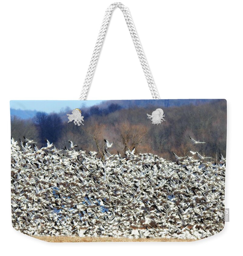 Lift Off Weekender Tote Bag featuring the photograph Lift Off by Dark Whimsy