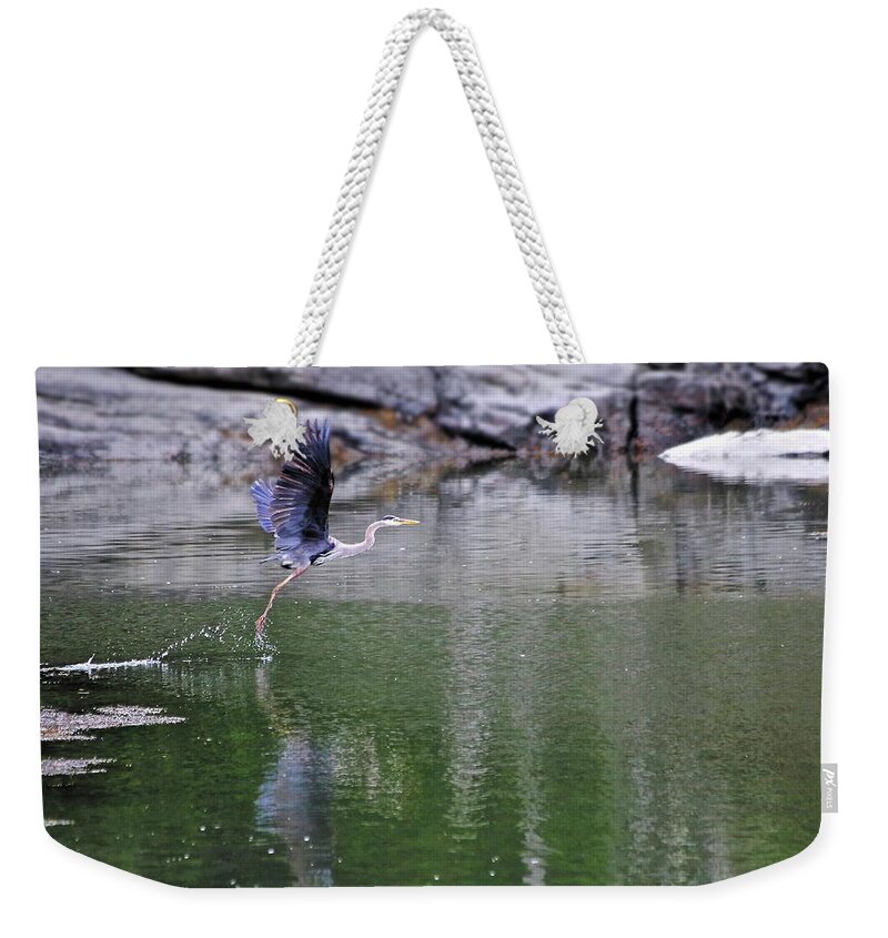 Great Blue Heron Weekender Tote Bag featuring the photograph Lift Off by John Meader