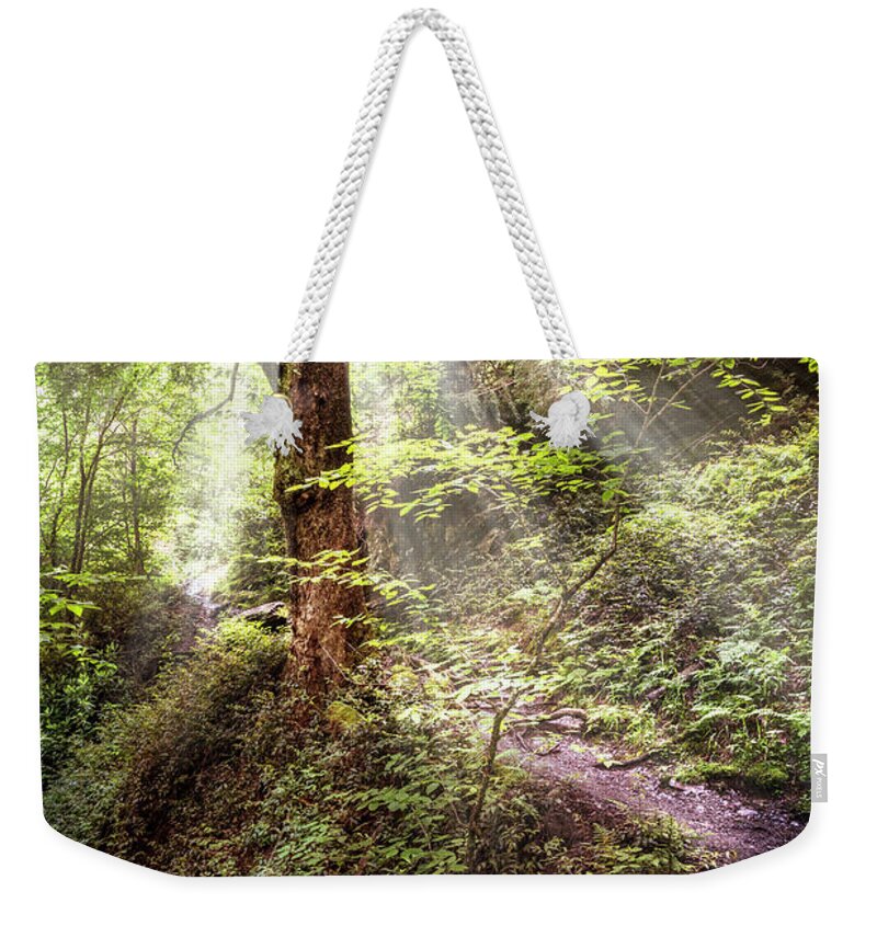 Appalachia Weekender Tote Bag featuring the photograph Light along the Trail by Debra and Dave Vanderlaan
