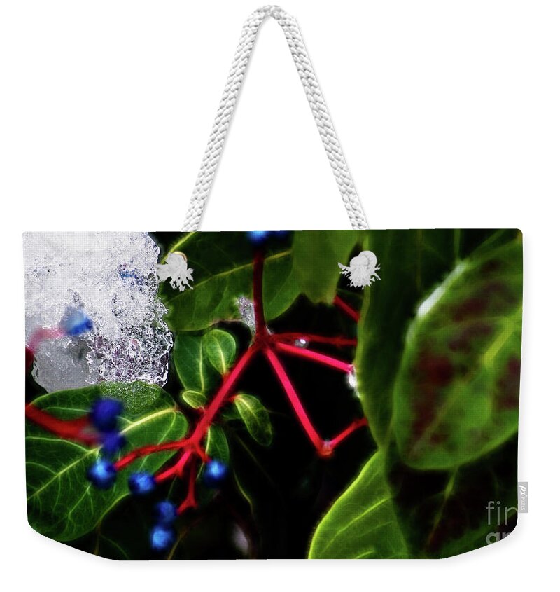 Ice Weekender Tote Bag featuring the photograph Light and Ice by Cameron Wood