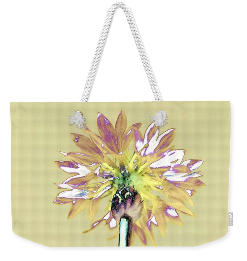 Flower Weekender Tote Bag featuring the photograph Light and Lovely by Dani McEvoy
