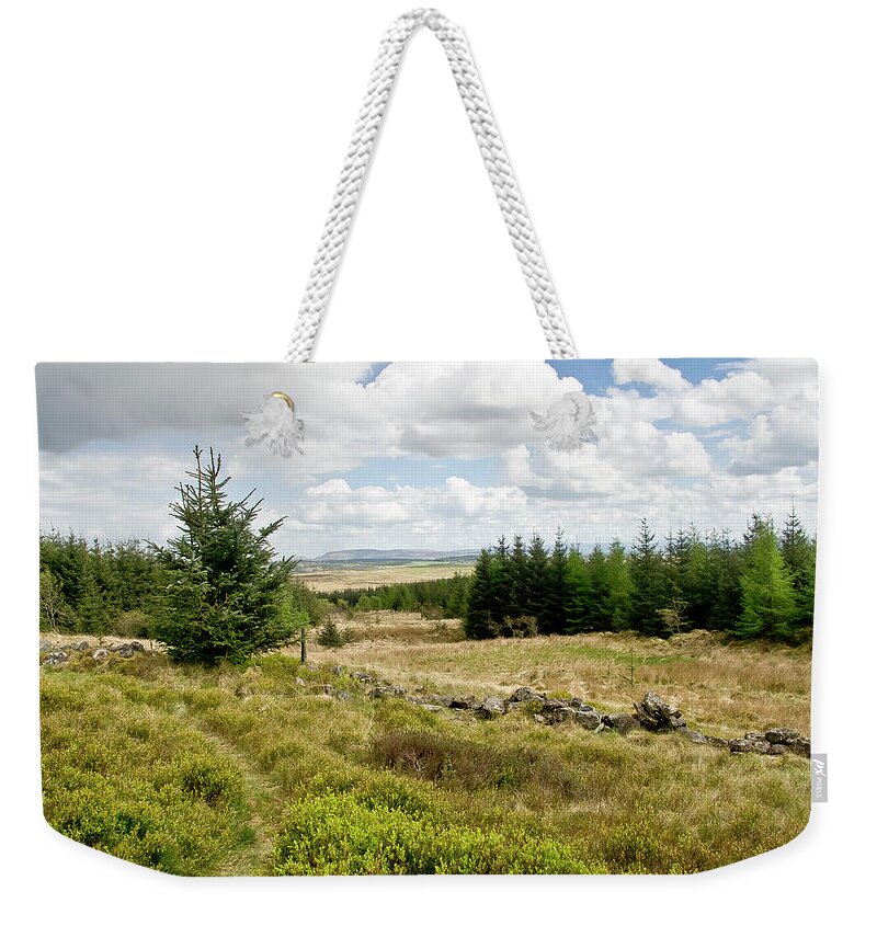 Forest Weekender Tote Bag featuring the photograph Light day in the forest near Wilsontown by Elena Perelman