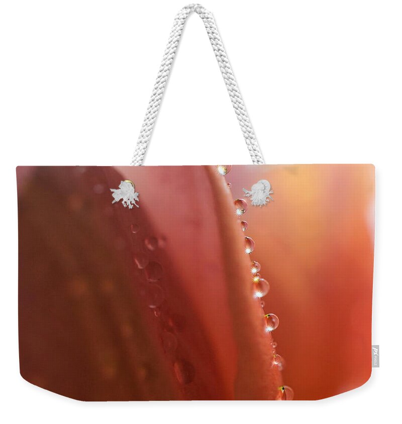 Gentle Weekender Tote Bag featuring the digital art Light in every drop by Lilia S