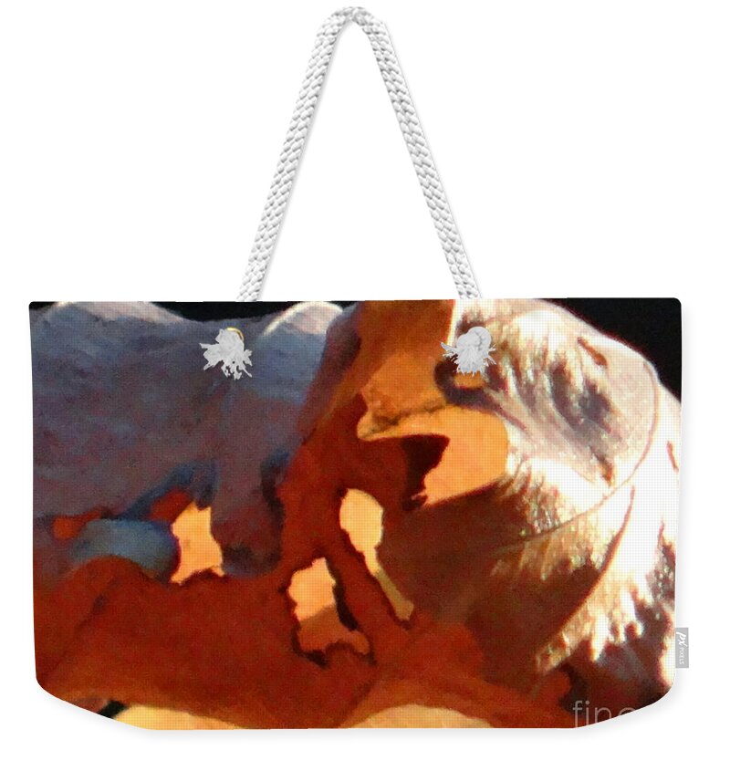 Leaf Weekender Tote Bag featuring the photograph Light in the leaves by Karin Ravasio