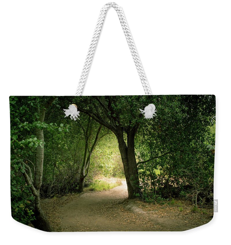 Trees Weekender Tote Bag featuring the photograph Light Through The Tree Tunnel by Alison Frank