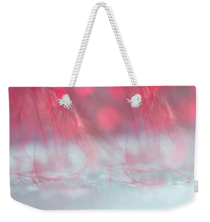 Jenny Rainbow Fine Art Photography Weekender Tote Bag featuring the photograph Light World 5 by Jenny Rainbow