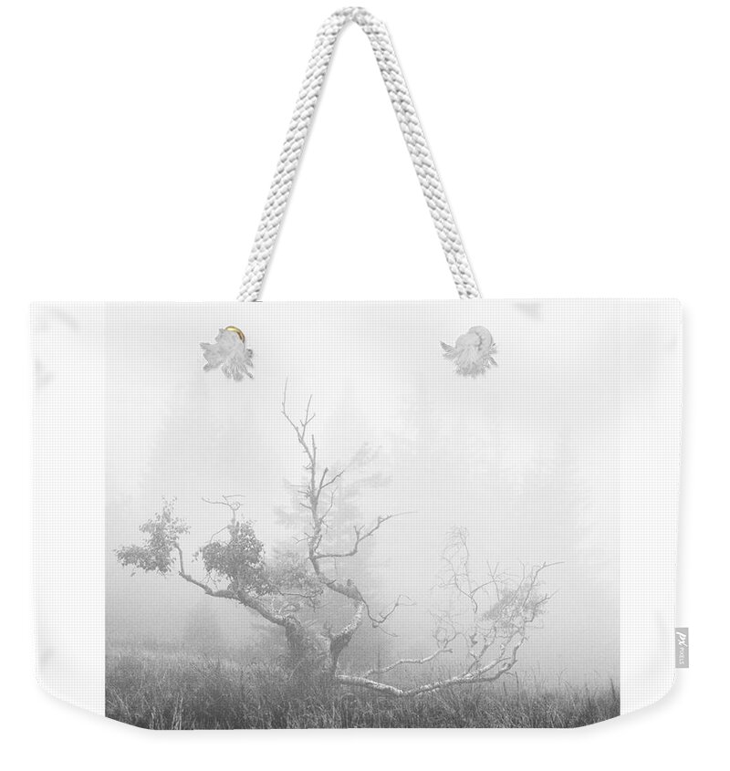 Lighter Than Black Weekender Tote Bag featuring the photograph Lighter Than Black - struggle by Paul Davenport