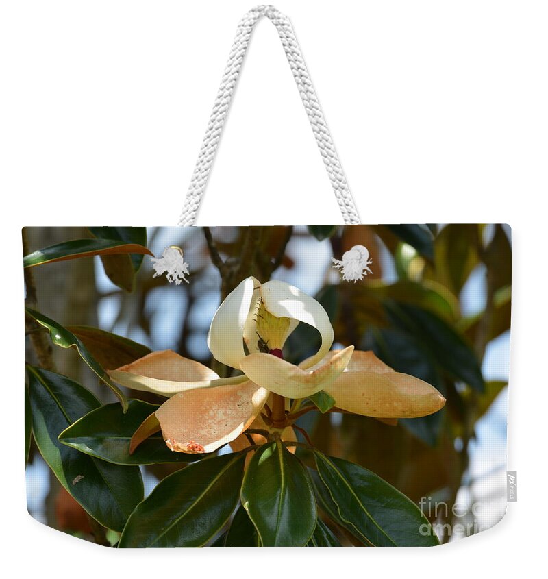 Lightly Toasted Weekender Tote Bag featuring the photograph Lightly Toasted by Maria Urso