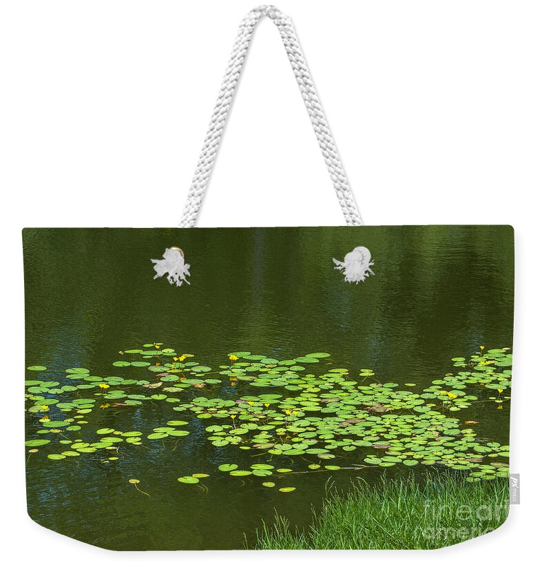 Lilly Pad Weekender Tote Bag featuring the photograph Liily Pads Afloat by Dale Powell