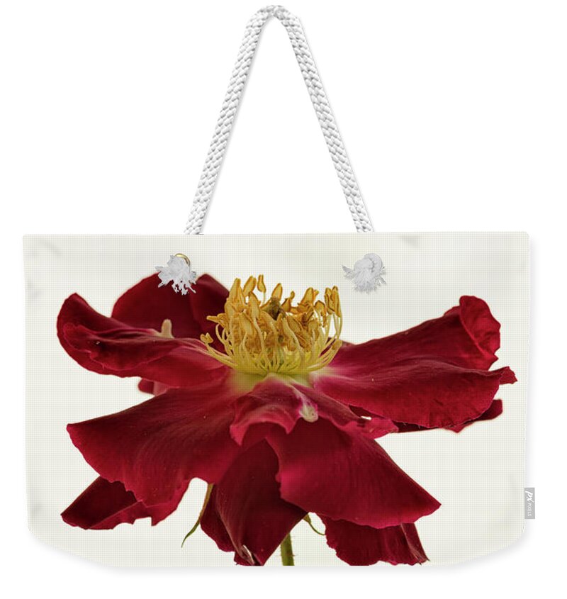 Rose Weekender Tote Bag featuring the photograph Like A Dancer by Masako Metz